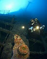 Dive HQ Hibiscus Coast - Scuba Diving Auckland image 5