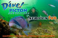 Dive Picton, NZ Ltd logo