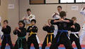 Family Martial Arts - Kenpo Karate Wellington image 1