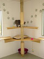 Felines on Frankley 'The Boutique Cattery' image 6