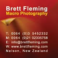 Fine Art Macro Photography - Brett Fleming image 2