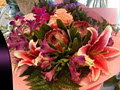 Flowers on Holmwood, Christchurch Florists image 1