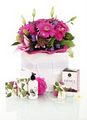 Frangipani Online Flowers and Gifts image 4