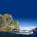 Fullers GreatSights Bay of Islands image 4
