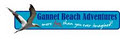 Gannet Beach Adventures Ltd image 5