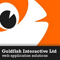 Goldfish Interactive Limited image 4