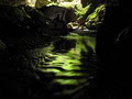 Green Glow Eco-Adventures image 2