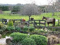 Green Hill Farm Stay image 2