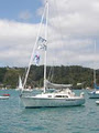 Gulfwind Sailing Academy and Charters image 2