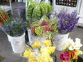 Hamilton Flower Market image 6