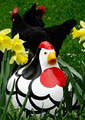 Happy Hens image 2