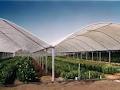 Harford Greenhouses image 4