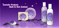 Herbal Visionz Lavender image 4