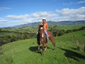 Hokianga Horse Treks image 2