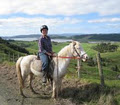 Hokianga Horse Treks image 3