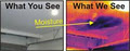 Infrared Building & Moisture Inspections - CityLine IR image 4