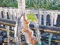 Irrigation Services (Wairarapa) Ltd image 1