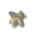 Jewel Beetle image 4