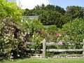 Kahikatea Gardens & Rexworthy Cottage Chutneys & Walnut Oil image 1
