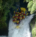 Kaitiaki Adventures Rotorua - Rafting & Sledging image 4