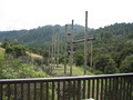 Kokako Lodge image 3