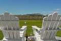 Little Apple - Havelock North Cottage Accommodation Hawkes Bay image 1