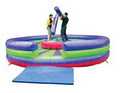 MECHANICAL BULL AND SURFBOARD HIRE image 6