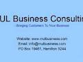 MUL Business Consulting image 2