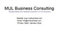 MUL Business Consulting image 3