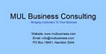 MUL Business Consulting image 4