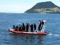 Maketu Coastguard / Maketu Sea Rescue image 2