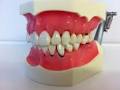 Massey Dental Centre image 5