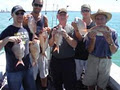 Megabites Fishing Charter Auckland, Fishing Trips image 3