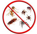 Mr Pest Control image 3