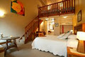 Mussel Bed Cottage and Bed & Breakfast accommodation, Cooks Beach image 3