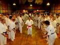 N Z Seido Karate Shibu image 4