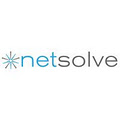 Netsolve Limited logo