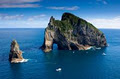 New Zealand Travel Information Network Ltd image 1