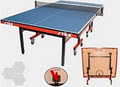 North Harbour Table Tennis Association image 1