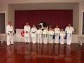 Okinawa Ryu Karate Do Shuri Te Seibukan Association Of New Zealand. image 3