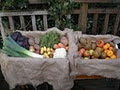 Organic Boxes Produce Delivery image 3