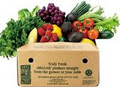 Organic Boxes Produce Delivery logo