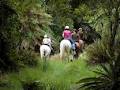 Oropi Bushlands Horse Treks image 5