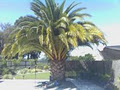 Paradise Palms Nursery and B&B image 4