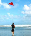Paul's Fishing Kites image 1