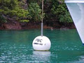 Pelorus Boating Club image 4