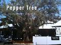 Pepper Tree Restaurant and Bar image 2