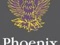 Phoenix Fire Secuirty & Electrical Ltd image 2
