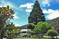 Picton Campervan Park | Picton Campsite & Holiday Park Accommodation image 3