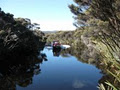 Port of Call Accommodation and Stewart Island Water Taxi & Eco Guiding image 3